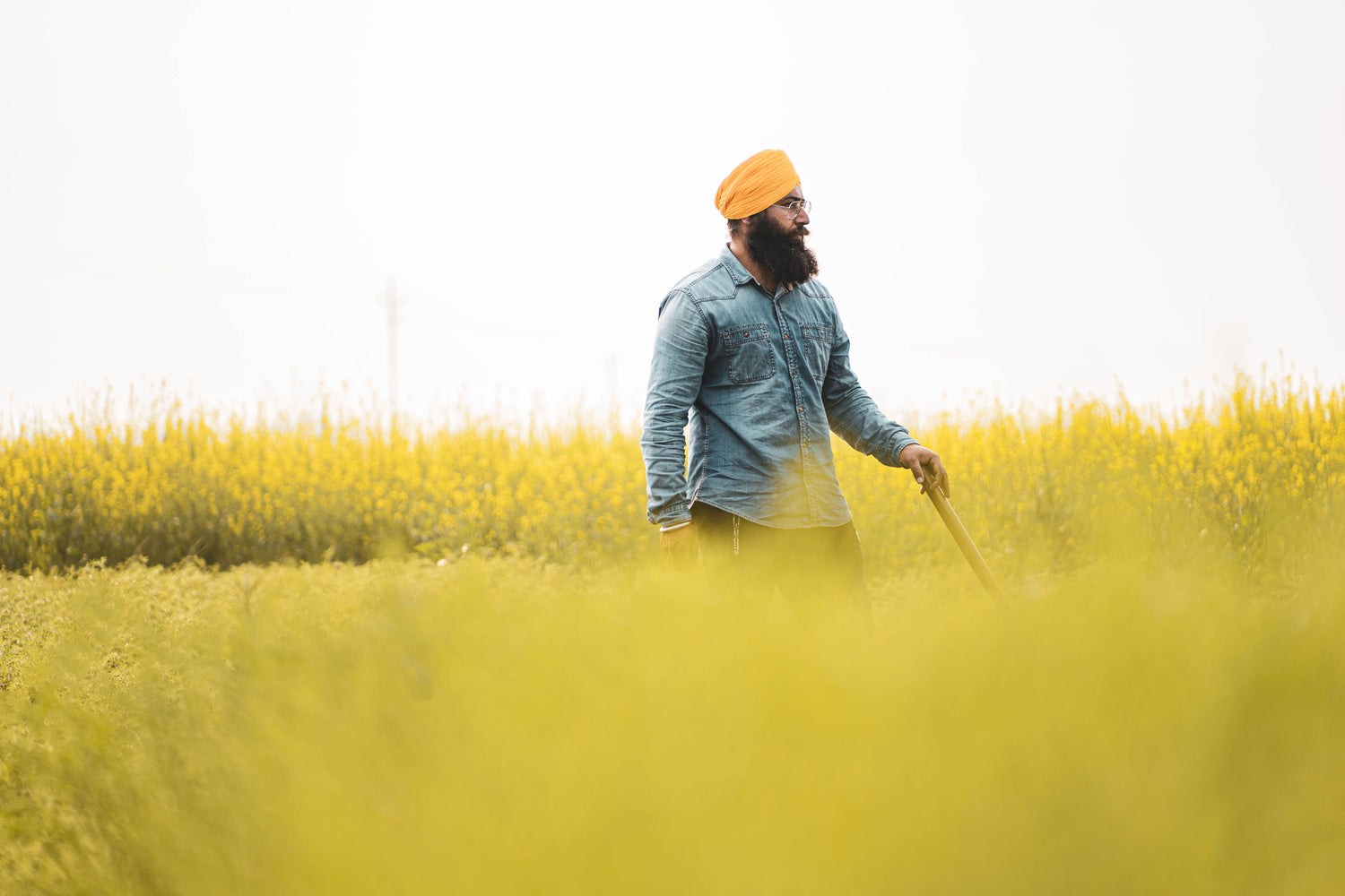 Ludhiana